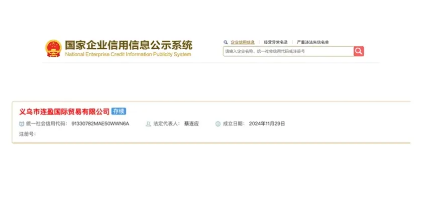 A company registry search result